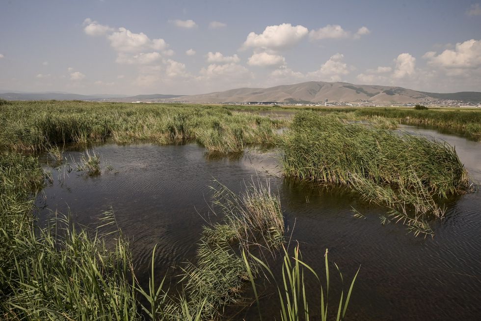 ZKP ZKM 23 7 2024 19 1