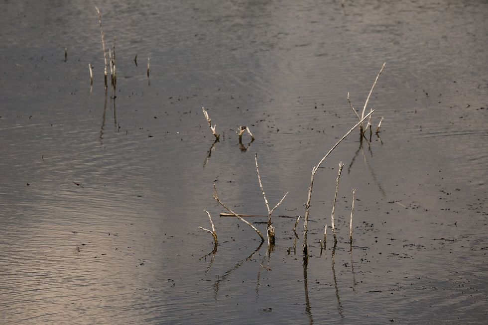 ZKP ZKM 23 7 2024 20 1