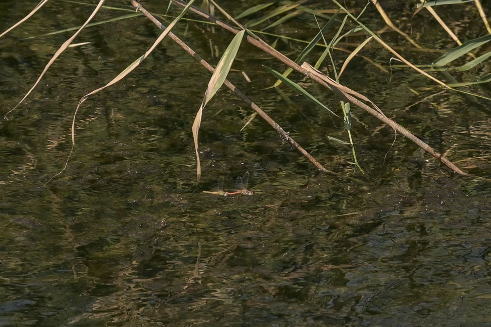 ZKP ZKM 23 7 2024 21 1