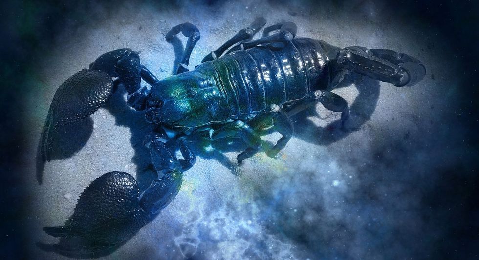 ZodiacSymbolsForScorpio1