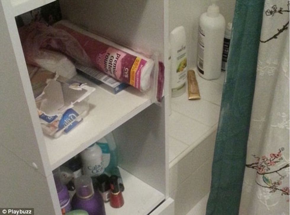 Zogjtë kameleone qe jane mjeshter ne fshehje foto 6