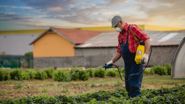 Pesticidet mund të shkaktojnë diabet