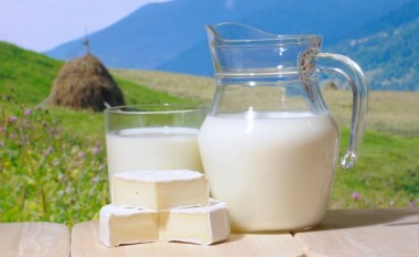 Vazhdon përkrahja për prodhuesit e qumështit