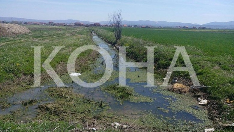 Ujërat e zeza vërshojnë tokën bujqësore të Gllogocit