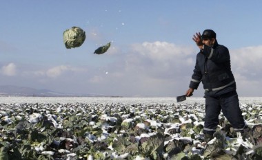 Prodhimet vendore paragjykohen për cilësi