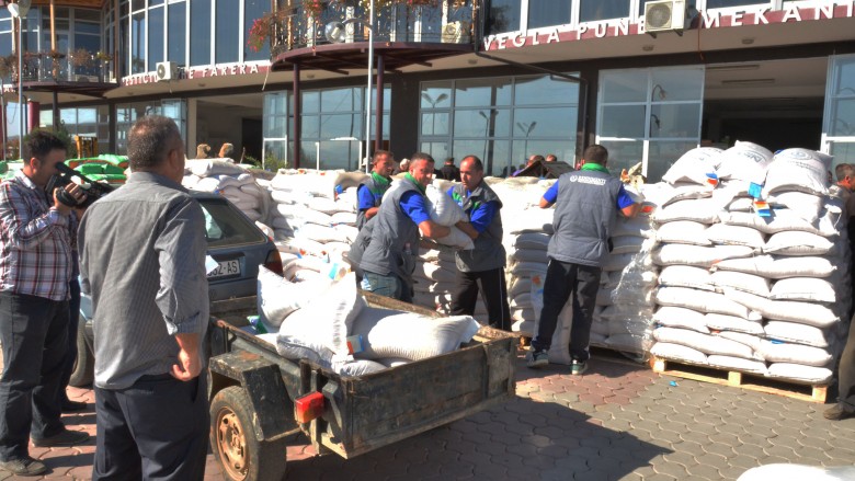 Mbi 750 fermerë përkrahen  për mbjelljet vjeshtore në Gjilan