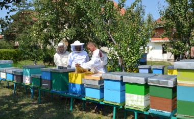 Komuna subvencionon bletarët llapjanë me 1000 shoqëri bletësh