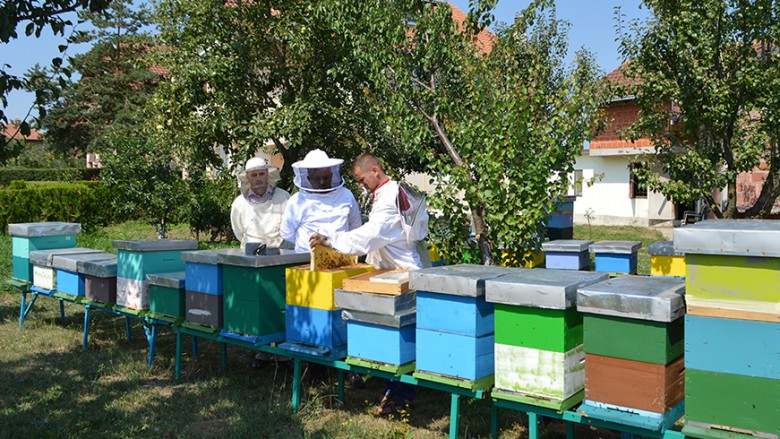 Komuna subvencionon bletarët llapjanë me 1000 shoqëri bletësh