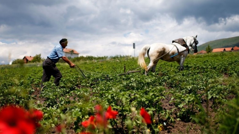 Ditë të hapura për bujqit nga Strumica