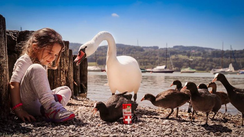 Fotografia e Visar Kryeziut shpallet fituese në konkursin e “Knorr”