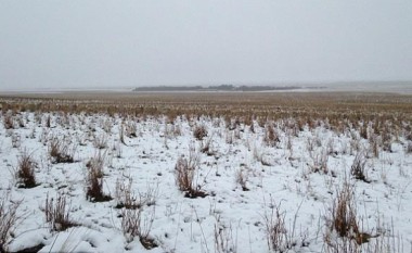 A mund t’i shihni delet e fshehura në këtë fushë? (Foto)