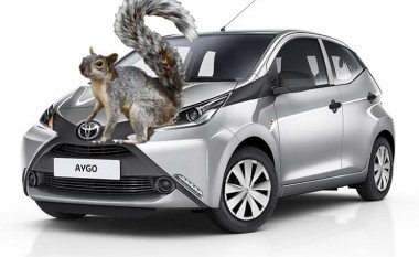 Pronari i Toyota Aygo pretendon se brejtësit po ia “hanë” veturën