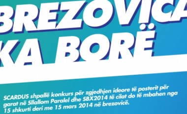 Brezovica ka borë