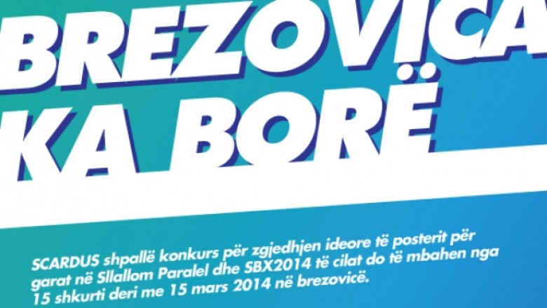 Brezovica ka borë