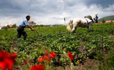 Bujqit e Maqedonisë kërkojnë t’u paguhen subvencionet