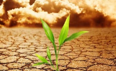Fillon fushata bujqësore për ndryshimet klimatike në Maqedoni