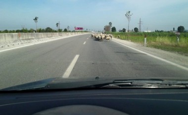 Delet “bllokojnë” autostradën (Foto)