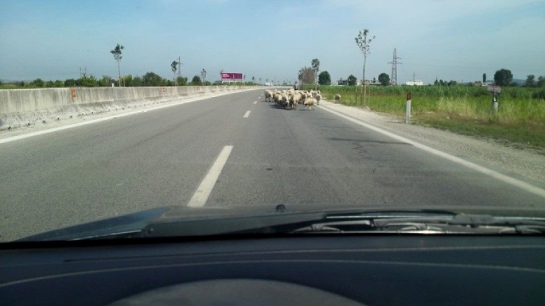 Delet “bllokojnë” autostradën (Foto)