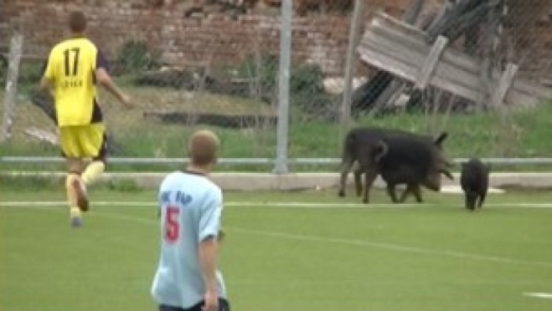 Derrat e ndërprenë ndeshjen futbollistike në Serbi (Video)