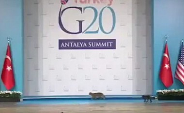 Edhe macet në Samitin e G20 (Video)