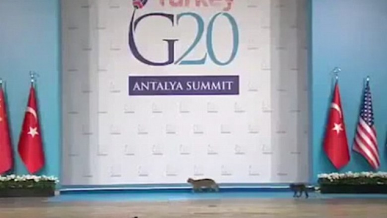 Edhe macet në Samitin e G20 (Video)