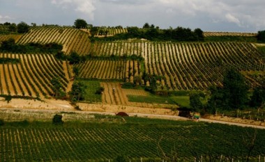 Vreshtarët bllokuan rrugën Kavadar – Negotinë, kërkojnë ndihmë nga shhteti