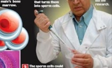 Spermë nga palca kockore e njerëzve?