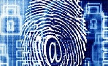 Rritet numri i vjedhjeve të identitetit në internet