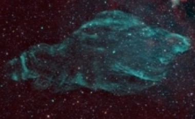 Nebula Manatee shfaqet në imazh