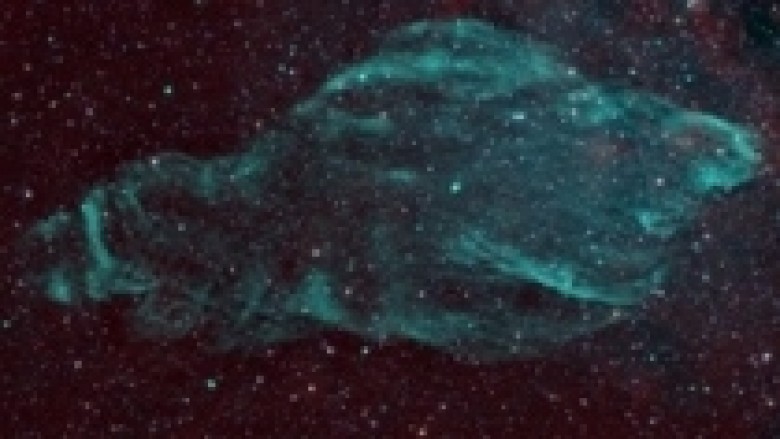 Nebula Manatee shfaqet në imazh