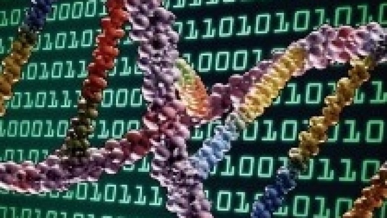 ADN, hapësira e re digjitale
