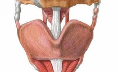 Transplantimi i parë me sukses i laringut