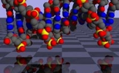 ADN-ja e njëjtë shpëton binjakët identikë nga varja