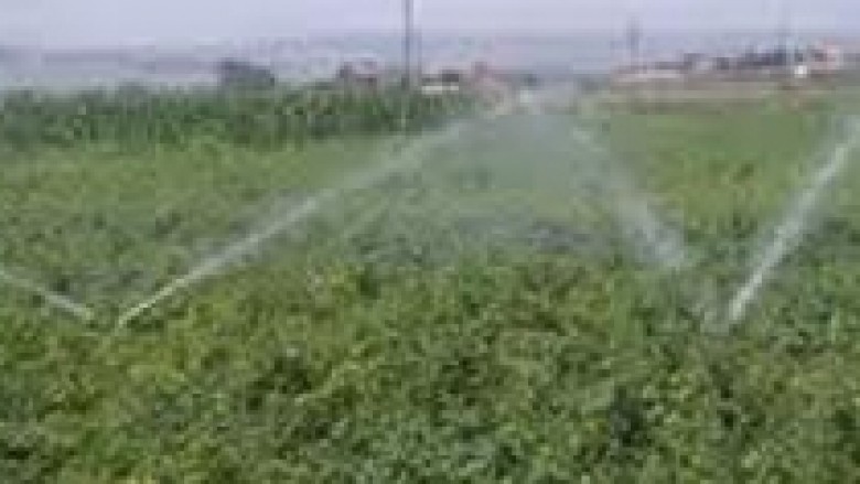 Një milion euro për ujitjen e tokave bujqësore