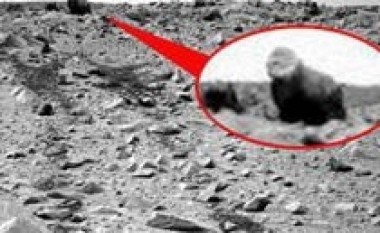 NASA në Mars fotografoi gorillën?