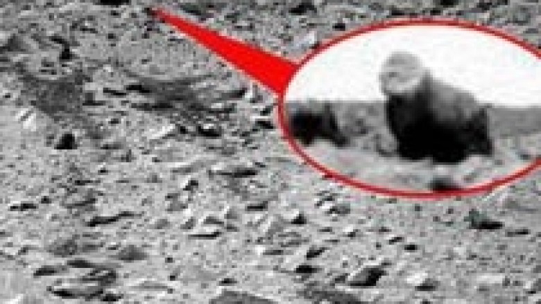 NASA në Mars fotografoi gorillën?