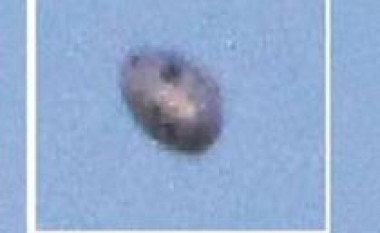 Fotografohet UFO mbi Rosswell