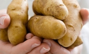 Viti 2008, vit i patates