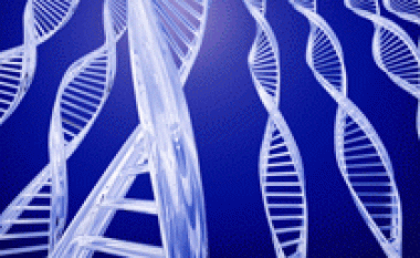 Gjenetika dhe sendërtimi