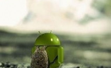 Google – Android i rëndësishëm, por jo edhe kritik