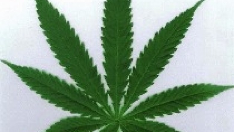 Kavajë: 6 të arrestuar, 26 kg marijuanë