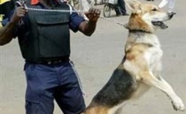 Lajmëron qenin e vet në polici sepse ia ha paratë