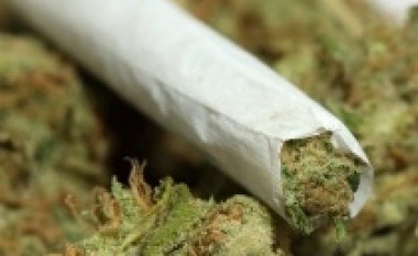 Berat, 16 vjeçari kapet me 170 doza marijuanë