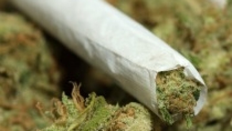 Berat, 16 vjeçari kapet me 170 doza marijuanë