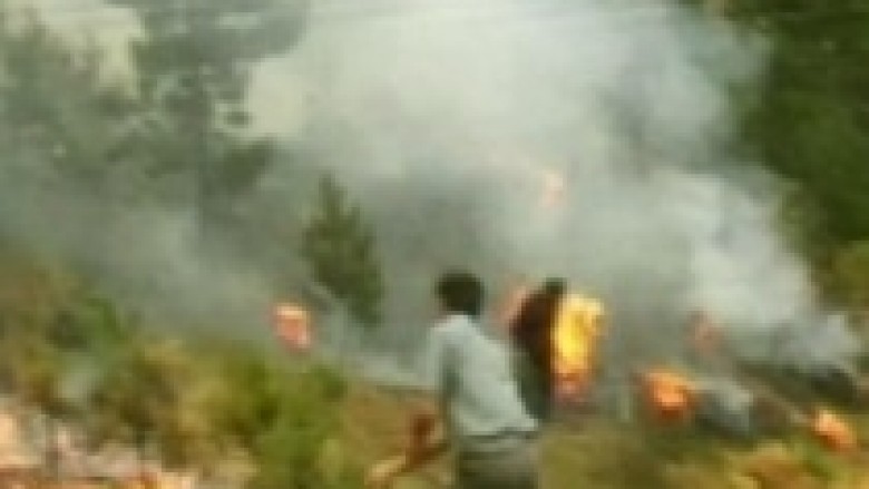 Lushnjë, zjarri përfshin kodrat e Ardenicës