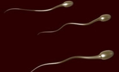 Spermatozoidet, vitaliteti i tyre ndikohet edhe nga karakteri