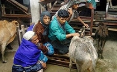 Cikloni “Sidr” shkakton vdekjen e 425 njerëzve në Bangladesh