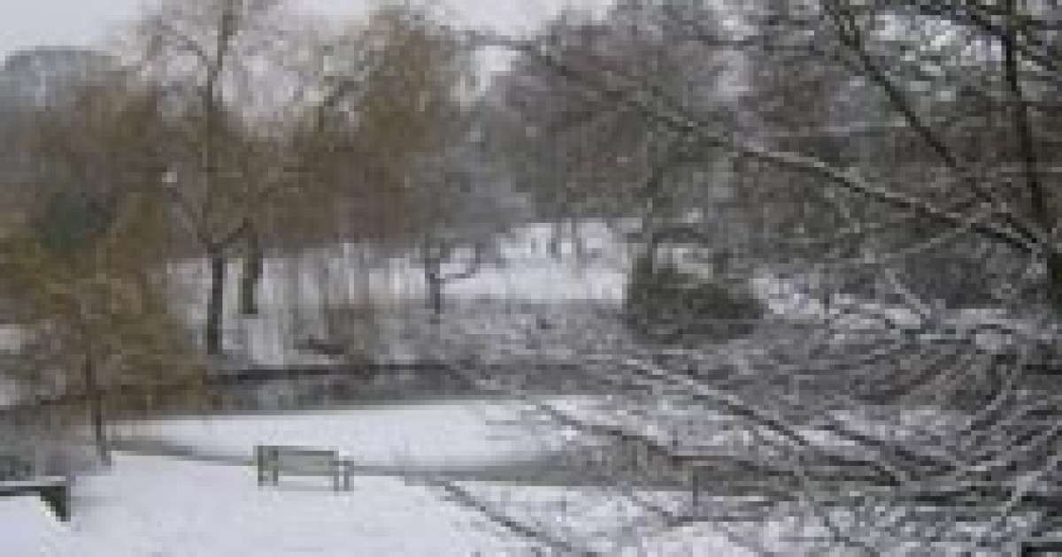 Snow in Tirana - Telegraph - Telegraph