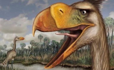 Fosili i “zogut terrorizues” zbulon se si ka tingëlluar zëri i shpendëve të lashtë (Foto/Video)