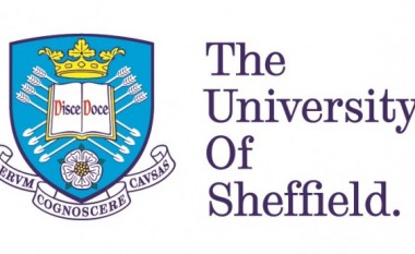 Pse duhet zgjedhur programin MBA të Universitetit Sheffield?